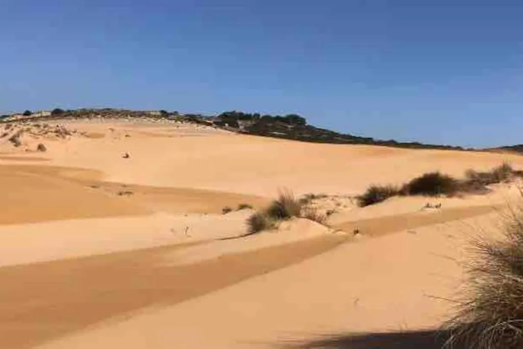 Acquamarina315 - Casa Vacanze Torre Dei Corsari - Iun R4813